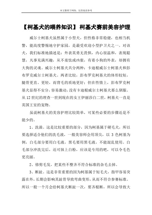 【柯基犬的喂养知识】 柯基犬赛前美容护理