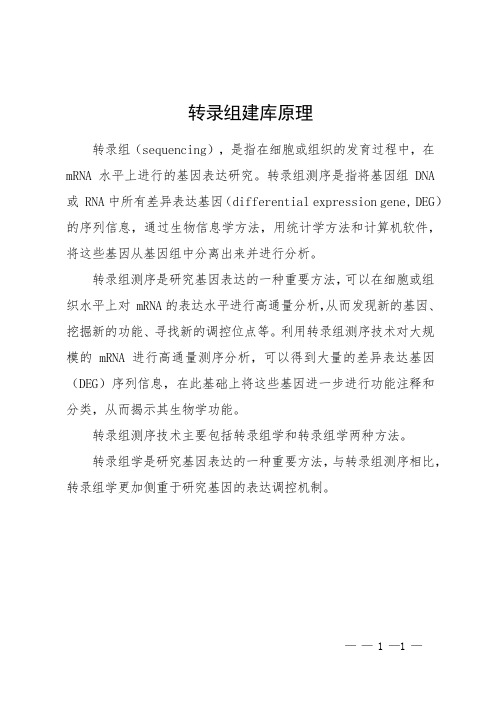 转录组建库原理