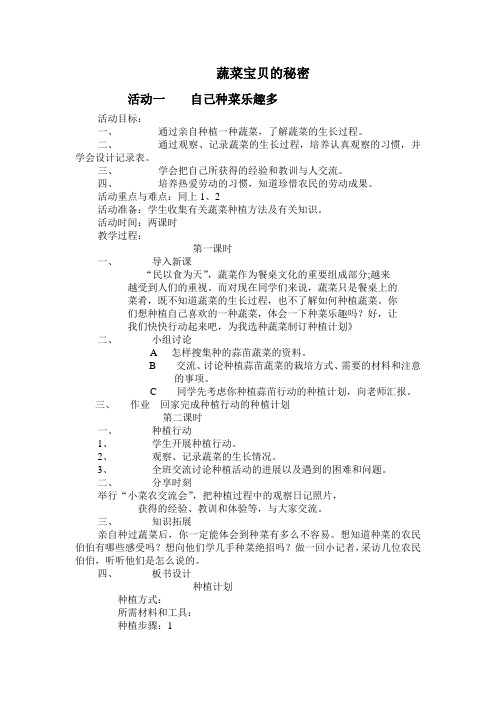 蔬菜宝贝的秘密活动一自己种菜乐趣多
