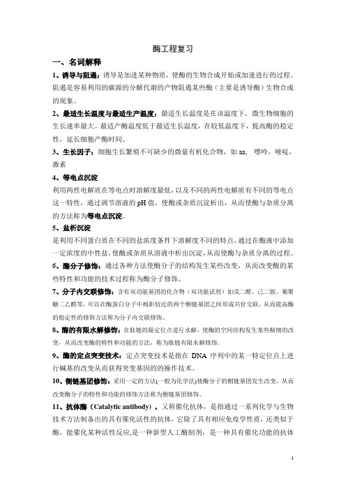 酶工程复习