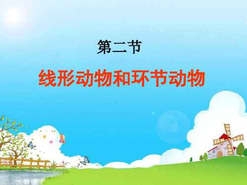 鲁科版(五四学制)生物八年级上册 7.1.2线形动物和环节动物 课件 