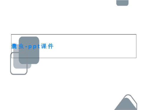 囊虫-ppt课件