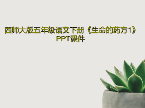 西师大版五年级语文下册《生命的药方1》PPT课件共19页