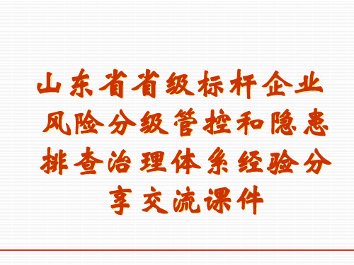 省级标杆企业风险分级管控和隐患排查治理体系交流课件