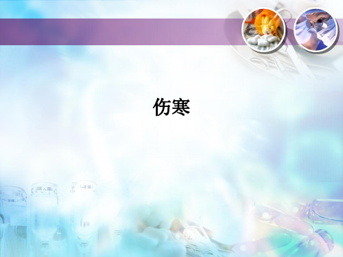 伤寒PPT课件