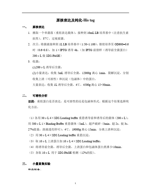 原核表达及纯化方法