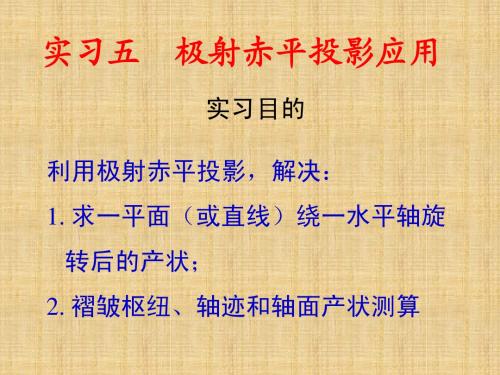 实习5极射赤平投影应用