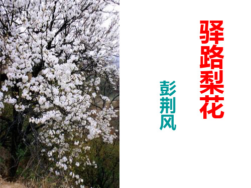 部编优质课一等奖初中语文七年级下册《驿路梨花》