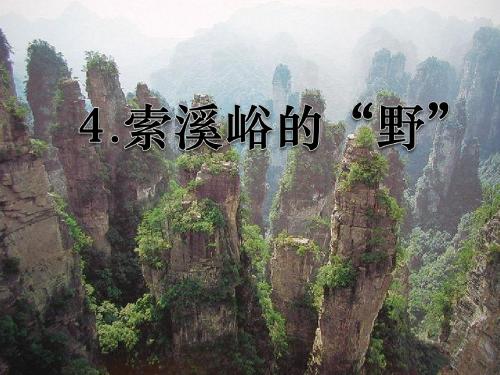 《索溪峪的“野”》PPT课件下载9 (共50张PPT)