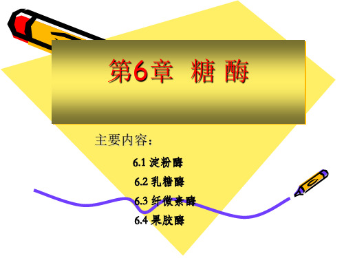 糖 酶(淀粉酶  乳糖酶  乳糖酶  果胶酶)