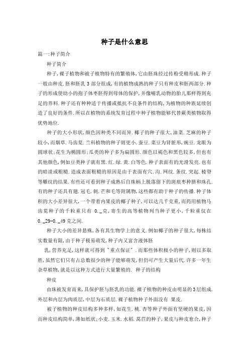 种子是什么意思