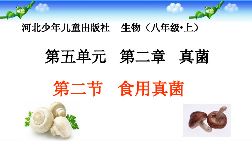 冀少版八年级生物上册：5.2.2 食用真菌  课件(共40张PPT)