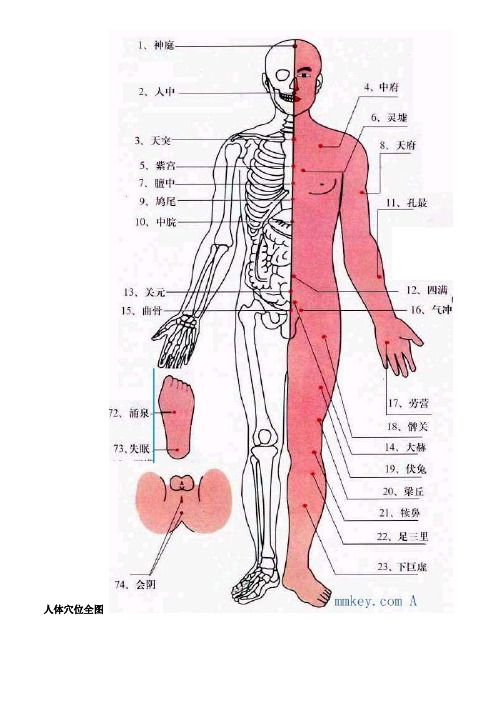 人体穴位图(图解+说明)