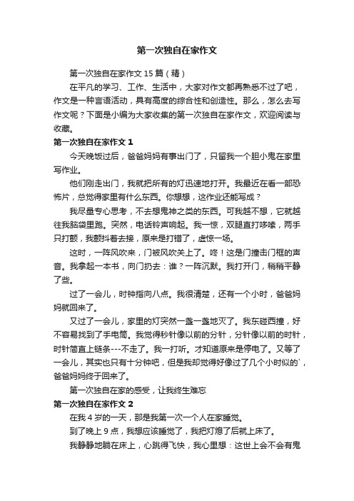 第一次独自在家作文15篇（精）