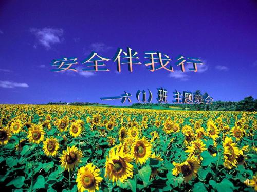 《安全伴我行》主题班会PPT