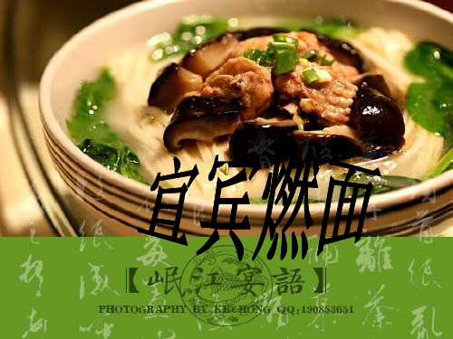 宜宾燃面ppt.