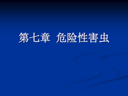 鞘翅目昆虫ppt