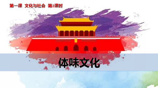 高中政治必修3精品课件14：1.1 体味文化