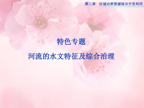 河流的水文特征及综合治理课件
