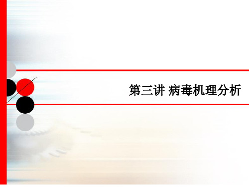计算机病毒机理分析