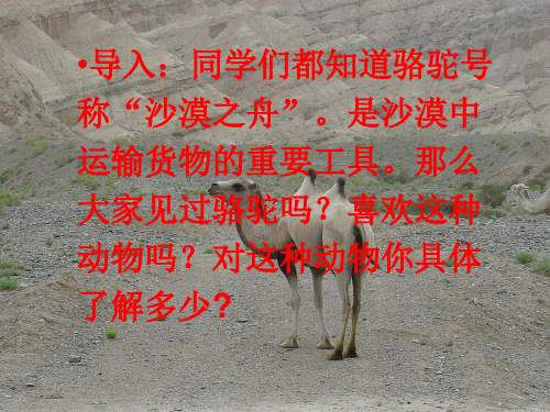 语文版初中语文七下《9骆驼寻宝记》PPT课件 (2)
