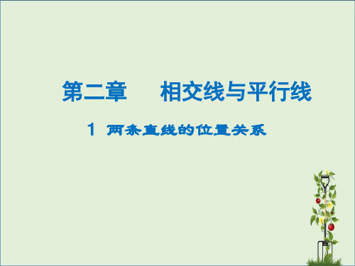七年级数学下册 2.1 两条直线的位置关系课件 (新版)北师大版