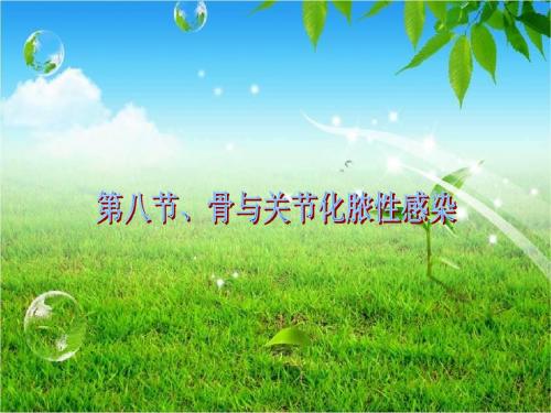 骨与关节化脓性感染