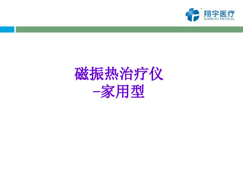 家用型磁振热治疗仪