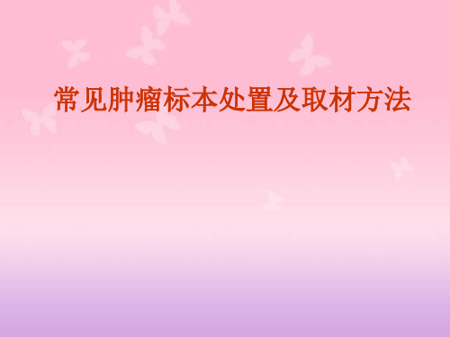 常见肿瘤标本处置及取材方法