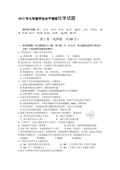 2012年九年级学业水平调查化学试题