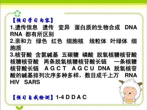 2-3 遗传信息的携带者-核酸