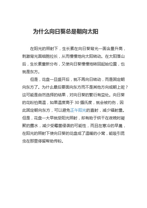 为什么向日葵总是朝向太阳