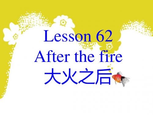 新概念第二册Lesson 62 (共49张PPT)