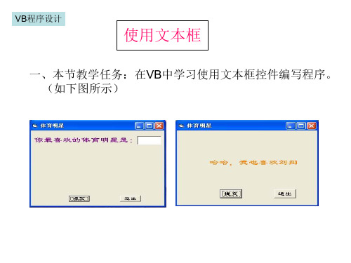 VB程序——使用文本框