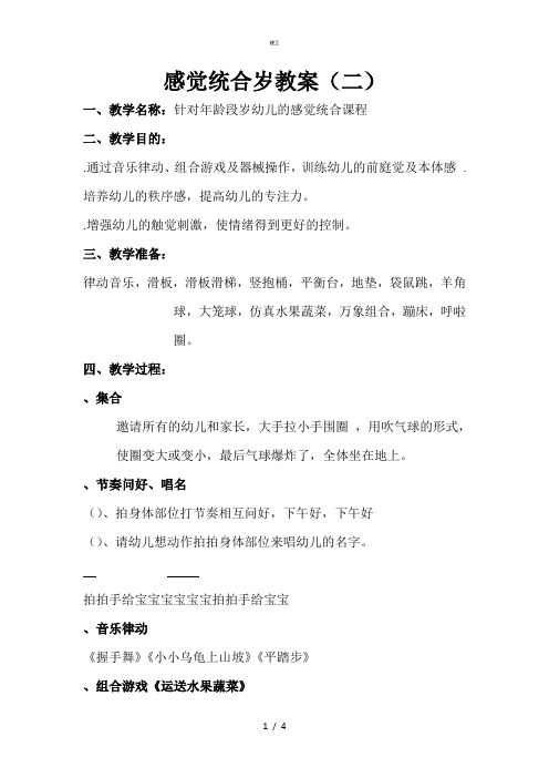 感觉统合2岁教案2(杂项)