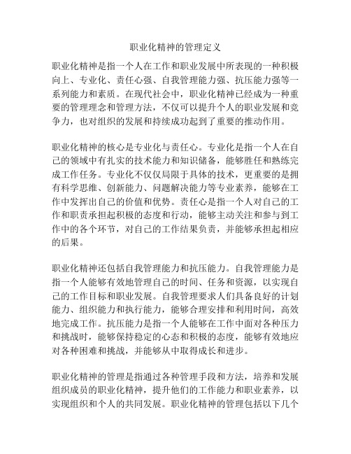 职业化精神的管理定义