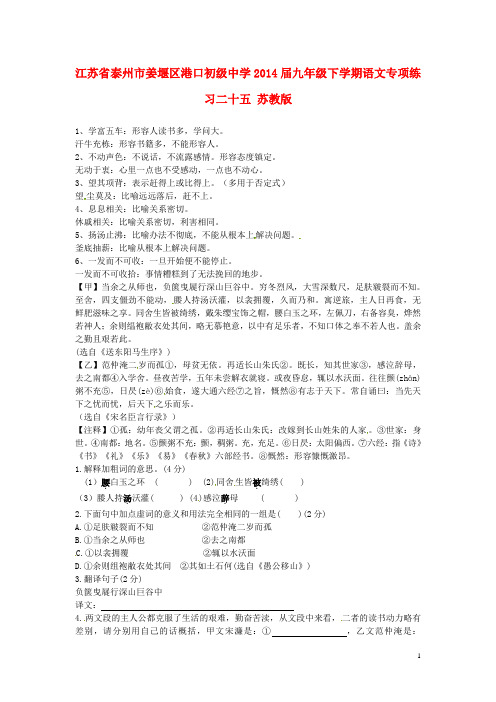 江苏省泰州市姜堰区港口初级中学九年级语文下学期专项练习二十五 苏教版