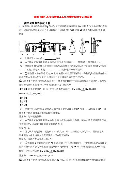 2020-2021高考化学钠及其化合物的综合复习附答案