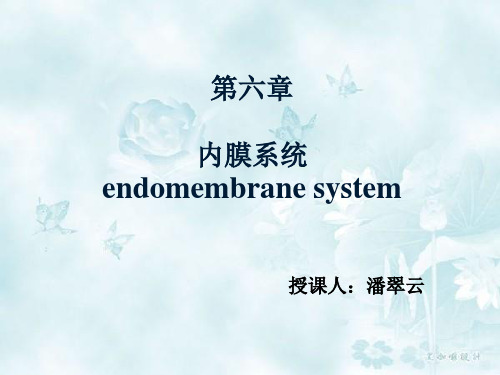 分子生物学  内膜系统