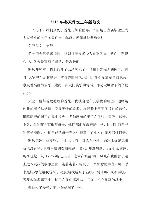 2019年冬天作文三年级范文.doc