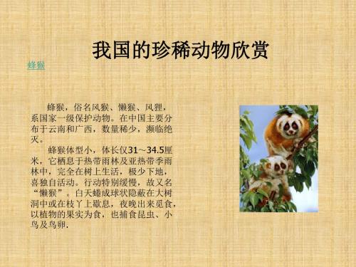 冀教版生物七上第四节《我国的珍稀动物》ppt课件之二