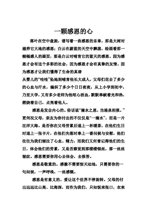 感恩是什么