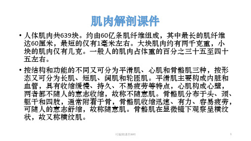 医学-肌肉解剖