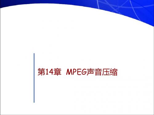 第14章MEG声音压缩