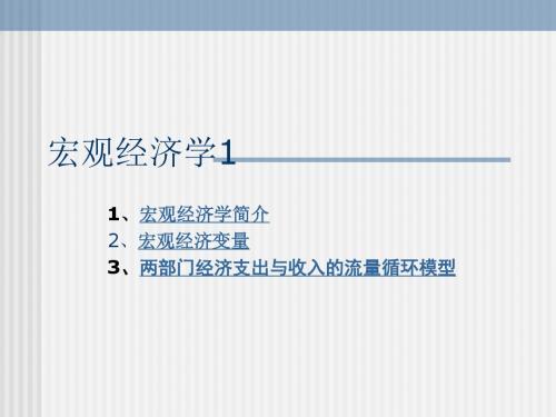 宏观经济学第一章报告