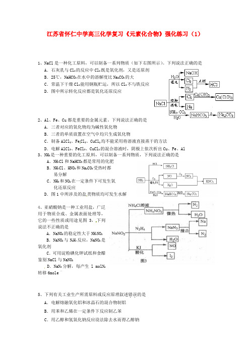 江苏省怀仁中学高三化学复习《元素化合物》强化练习(1)