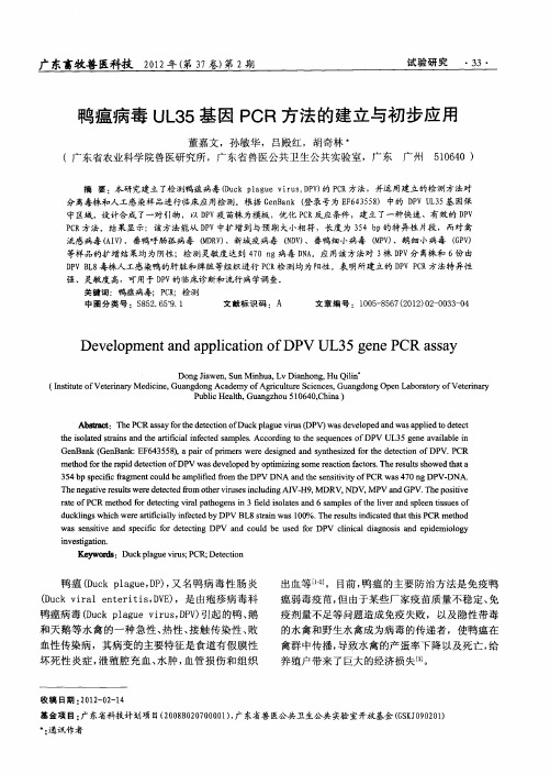 鸭瘟病毒UL35基因PCR方法的建立与初步应用