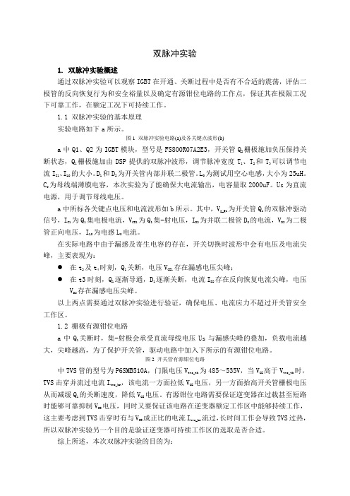 双脉冲实验报告 (2)
