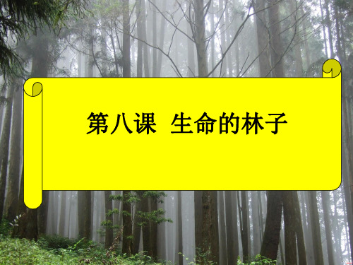 七年级政治下册《第九课-生命的林子》
