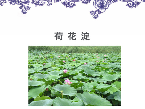 荷花淀2PPT教学课件